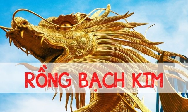 Rồng bạch kim 666 là phương pháp gì?